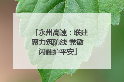 永州高速：联建聚力筑防线 党徽闪耀护平安