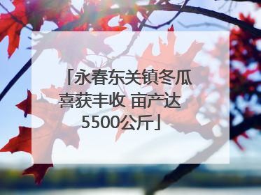 永春东关镇冬瓜喜获丰收 亩产达5500公斤