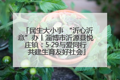 民生大小事 “沂心沂意”办丨淄博市沂源县悦庄镇：5·29与爱同行 共建生育友好社会