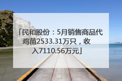 民和股份：5月销售商品代鸡苗2533.31万只，收入7110.56万元