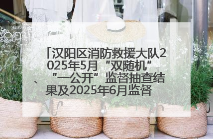 汉阳区消防救援大队2025年5月“双随机”、“一公开”监督抽查结果及2025年6月监督抽查任务公示