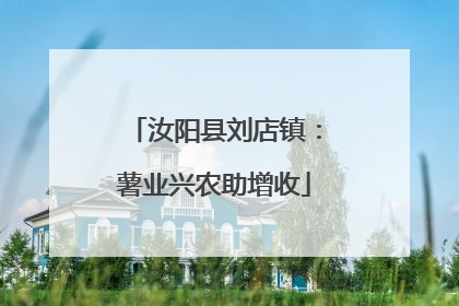 汝阳县刘店镇：薯业兴农助增收