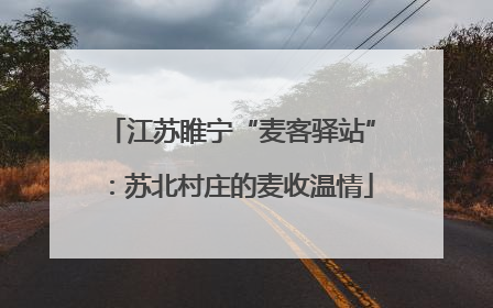 江苏睢宁“麦客驿站”：苏北村庄的麦收温情