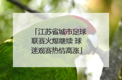 江苏省城市足球联赛火爆继续 球迷观赛热情高涨