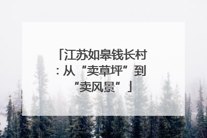 江苏如皋钱长村：从“卖草坪”到“卖风景”