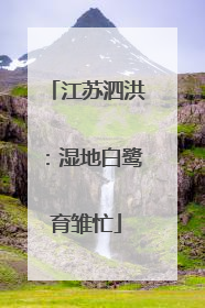 江苏泗洪：湿地白鹭育雏忙