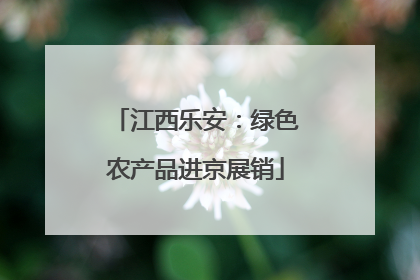 江西乐安：绿色农产品进京展销