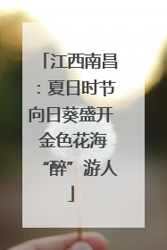 江西南昌：夏日时节向日葵盛开 金色花海“醉”游人