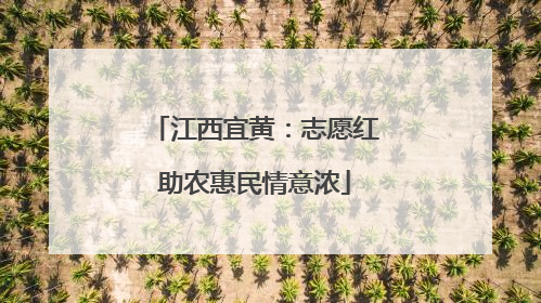 江西宜黄：志愿红助农惠民情意浓