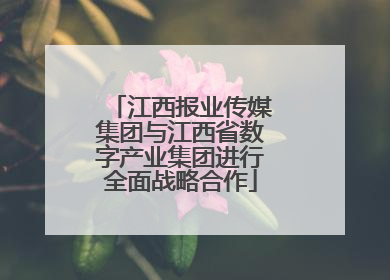 江西报业传媒集团与江西省数字产业集团进行全面战略合作