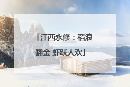 江西永修：稻浪翻金 虾跃人欢