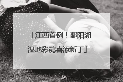 江西首例！鄱阳湖湿地彩鹮喜添新丁