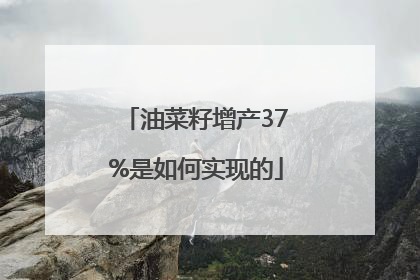 油菜籽增产37%是如何实现的