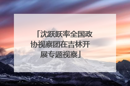 沈跃跃率全国政协视察团在吉林开展专题视察