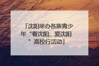 沈阳举办各族青少年“看沈阳、爱沈阳”高校行活动
