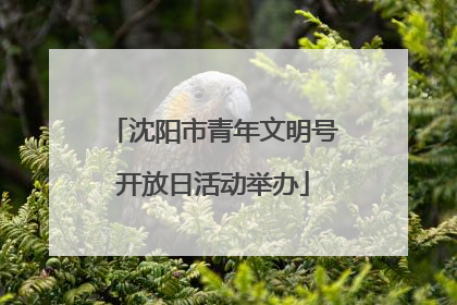 沈阳市青年文明号开放日活动举办