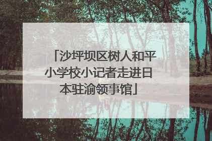 沙坪坝区树人和平小学校小记者走进日本驻渝领事馆