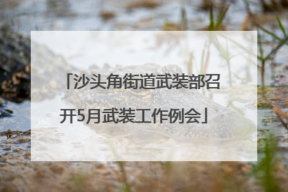 沙头角街道武装部召开5月武装工作例会