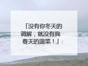 没有你冬天的调解，就没有我春天的菠菜！