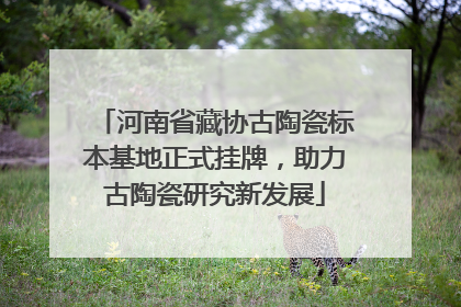 河南省藏协古陶瓷标本基地正式挂牌，助力古陶瓷研究新发展