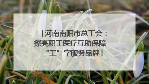 河南南阳市总工会：擦亮职工医疗互助保障“工”字服务品牌