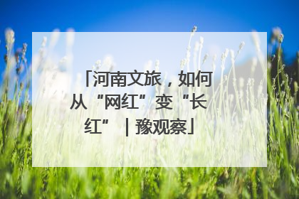 河南文旅，如何从“网红”变“长红”｜豫观察