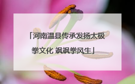 河南温县传承发扬太极拳文化 飒飒拳风生