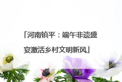 河南镇平：端午非遗盛宴激活乡村文明新风