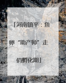 河南镇平：鱼卵“助产师”走俏孵化期