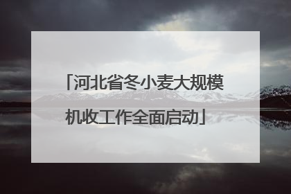 河北省冬小麦大规模机收工作全面启动