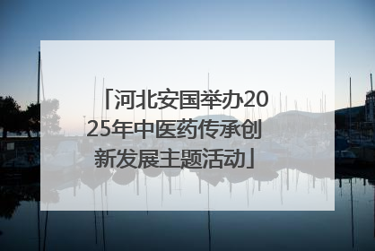 河北安国举办2025年中医药传承创新发展主题活动
