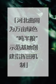 河北曲周为万亩绿色“吨半粮”示范基地创建指挥田机制