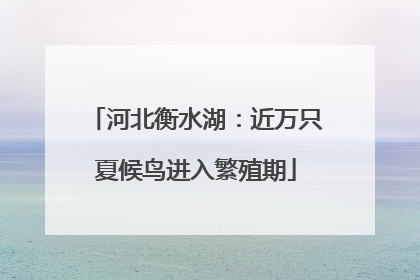 河北衡水湖：近万只夏候鸟进入繁殖期