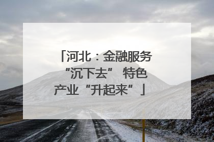 河北：金融服务“沉下去” 特色产业“升起来”