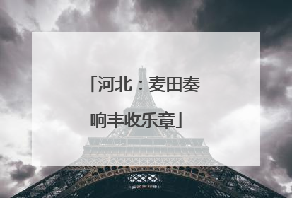 河北：麦田奏响丰收乐章