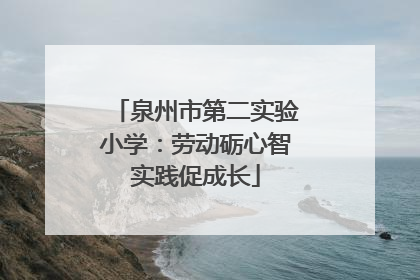 泉州市第二实验小学：劳动砺心智实践促成长