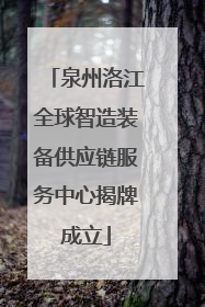 泉州洛江全球智造装备供应链服务中心揭牌成立