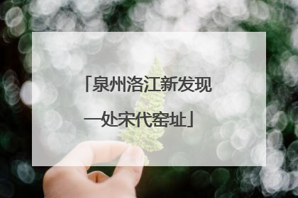 泉州洛江新发现一处宋代窑址