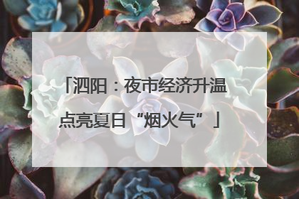 泗阳：夜市经济升温 点亮夏日“烟火气”