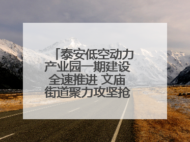 泰安低空动力产业园一期建设全速推进 文庙街道聚力攻坚抢抓“进度条”