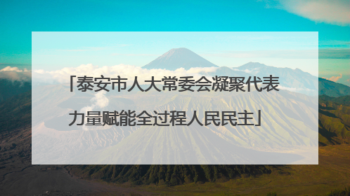 泰安市人大常委会凝聚代表力量赋能全过程人民民主