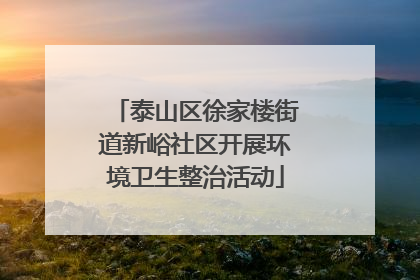 泰山区徐家楼街道新峪社区开展环境卫生整治活动