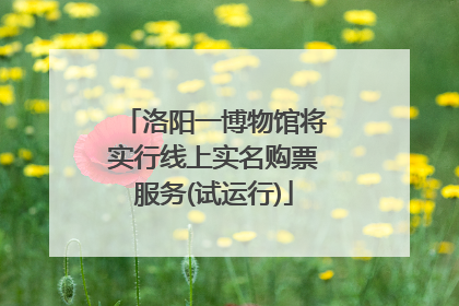 洛阳一博物馆将实行线上实名购票服务(试运行)