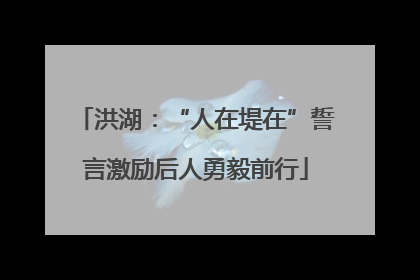 洪湖：“人在堤在”誓言激励后人勇毅前行
