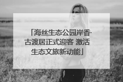 海丝生态公园岸香·古渡居正式迎客 激活生态文旅新动能