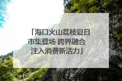 海口火山荔枝夏日市集登场 跨界融合注入消费新活力