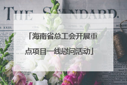 海南省总工会开展重点项目一线慰问活动