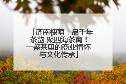 济南槐荫：品千年茶韵 聚四海茶商！一盏茶里的商业情怀与文化传承