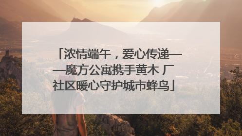 浓情端午，爱心传递——魔方公寓携手黄木 厂社区暖心守护城市蜂鸟