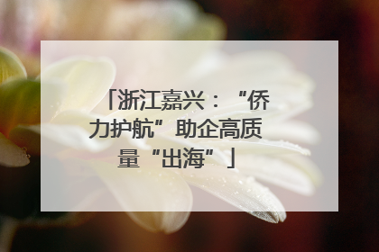 浙江嘉兴：“侨力护航”助企高质量“出海”